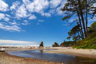 Ruby Beach-7285.jpg